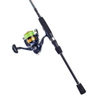 Daiwa D-Spin Combo 6ft 6in/5-20g